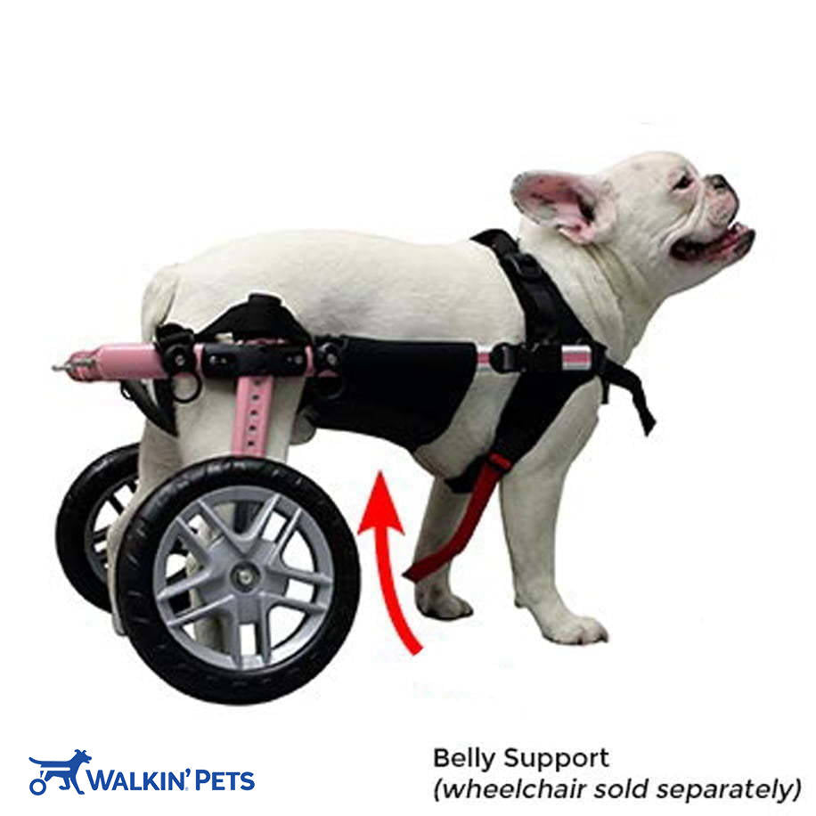 Walkin' Belly Support