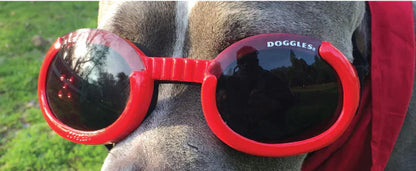 Doggles