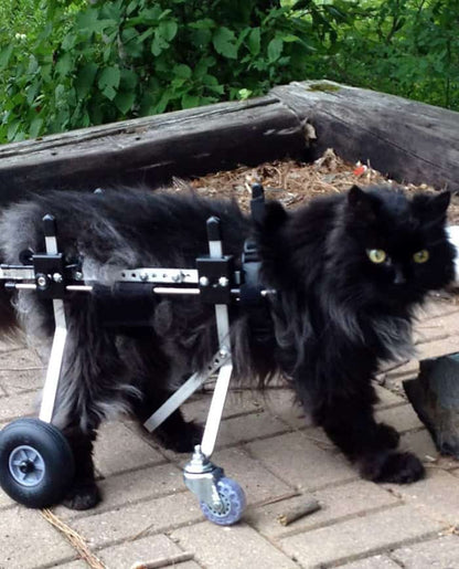 Wheelchair Front Support Kit