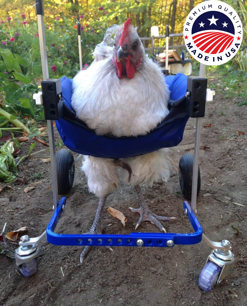 Chicken, Duck, Turkey Wheelchair