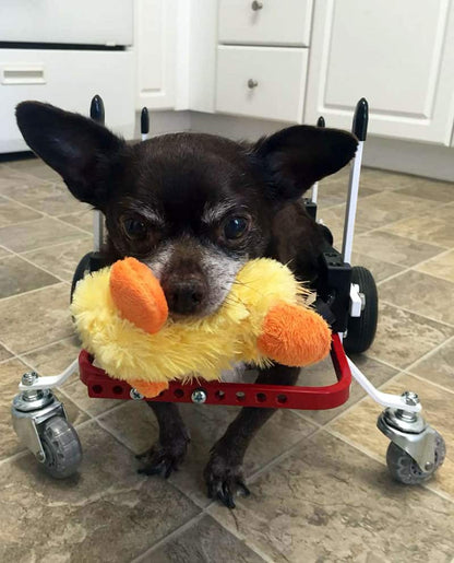 Full Support Dog Wheelchair