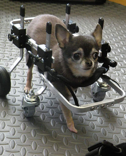 Full Support Dog Wheelchair