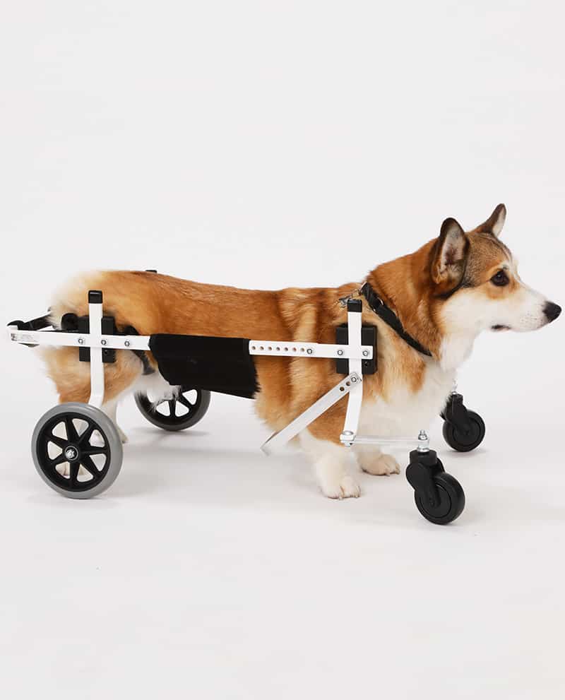 Full Support Dog Wheelchair