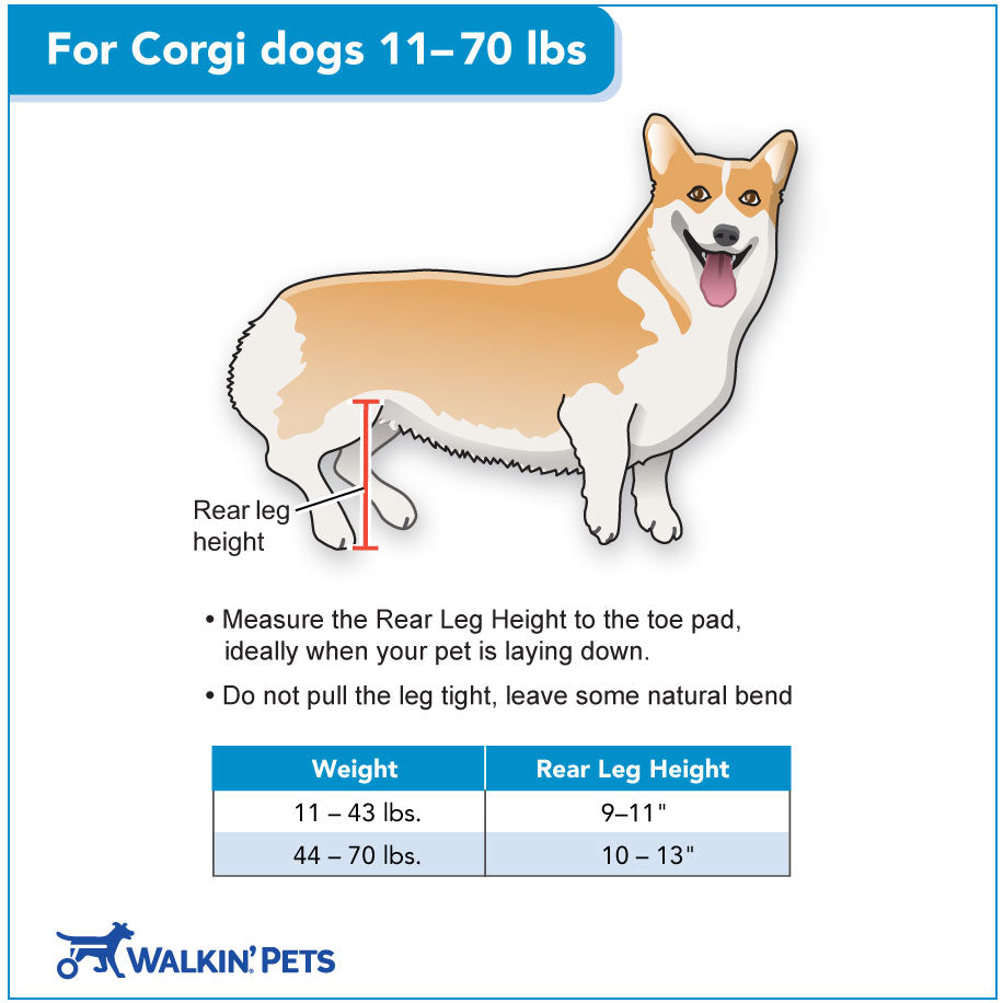 Walkin' Wheels CORGI Dog Wheelchair