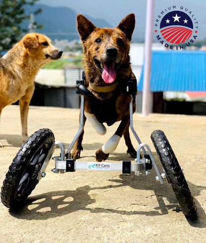 Dog Wheelchair for Front Legs