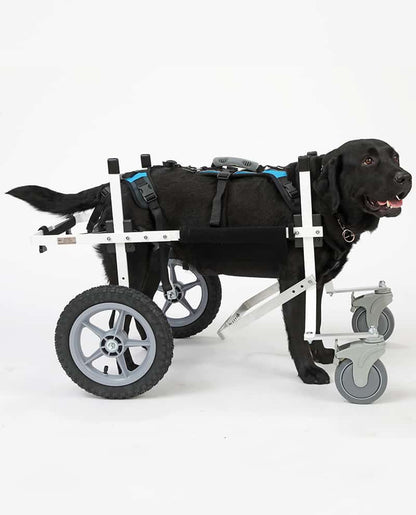 Full Support Dog Wheelchair