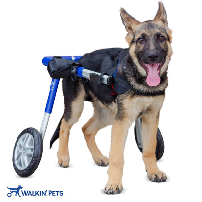 Walkin' Wheels MEDIUM Dog Wheelchair