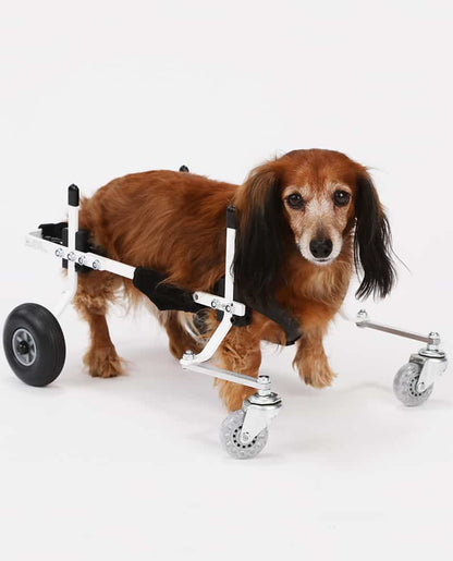 Full Support Dog Wheelchair