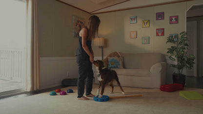 Fitpaws FitKinect™