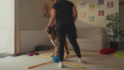 Fitpaws FitKinect™