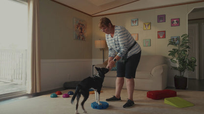 Fitpaws FitKinect™