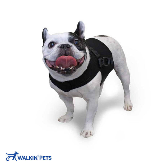 Small Premium Front Vest for SMALL Dog Wheelchair