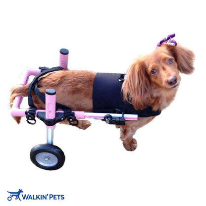 Small Premium Front Vest for SMALL Dog Wheelchair