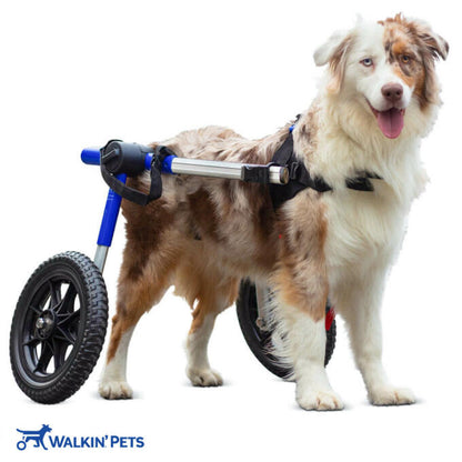 Walkin' Wheels Med/Large Dog Wheelchair