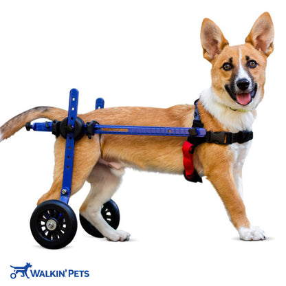 Walkin’ Wheels MINI Dog Wheelchair